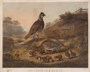 The Cares Of A Family by Arthur Fitzwilliam Tait