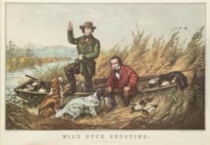 Wild Duck Shooting by Arthur Fitzwilliam Tait
