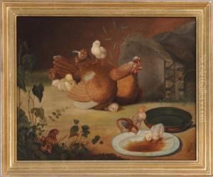 Hen & Chickens by Arthur Fitzwilliam Tait