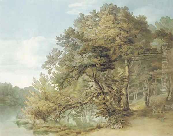 Peamore, Devon - view 1
