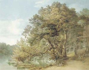 Peamore, Devon by John White Abbott