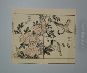 Serie Des Oiseaux Du Japon by Katsushika Ii Taito