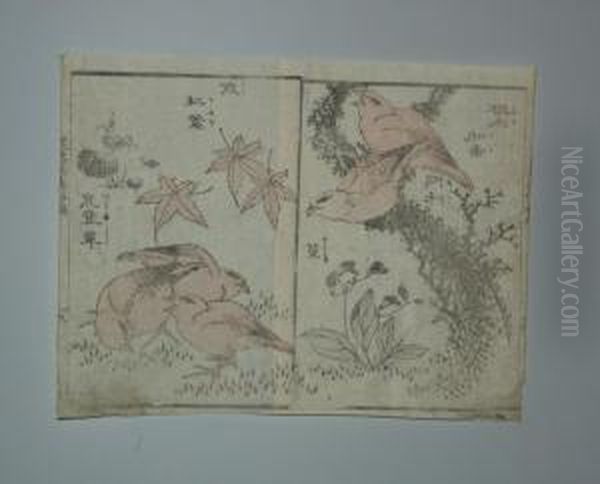 Serie Des Oiseaux Au Japon - view 1