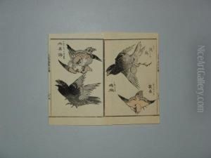 Serie Des 100 Oiseaux. by Katsushika Ii Taito