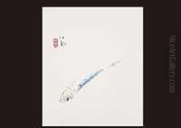 Sardine - view 1