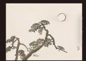 Pinetree And Moon