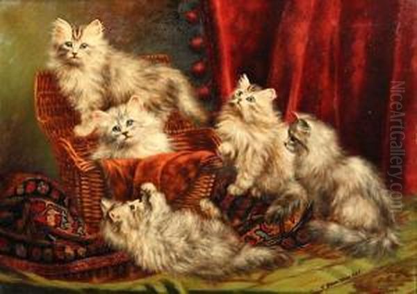 Kittens Playing - view 1