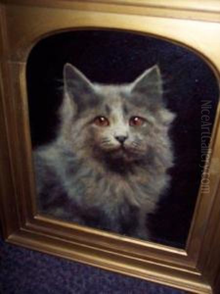 Portrait Of A Cat - view 1