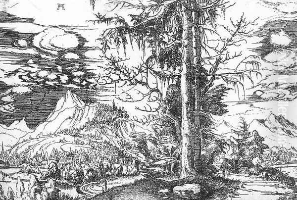 Landscape - view 1
