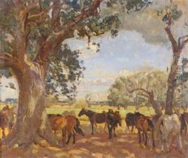 Horses In The Shade Of The Trees - view 1