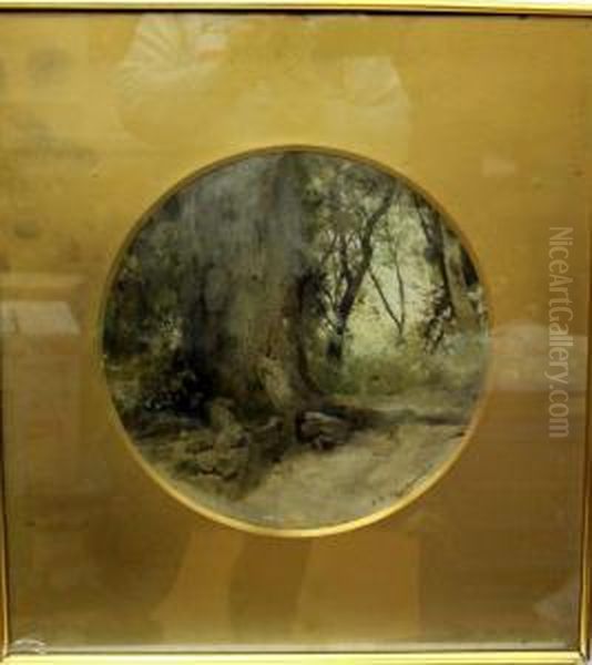 Bosque - view 1