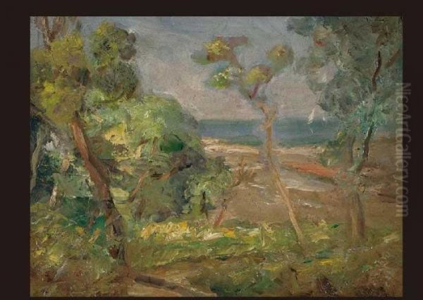 Shorehouse Landscape - view 1