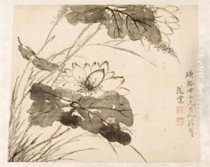 Scene Of Lotus Blossoms WithLeaves
