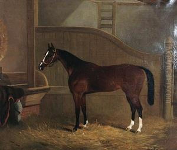 'violet' - A Chestnut Horse Standing In Astable - view 1