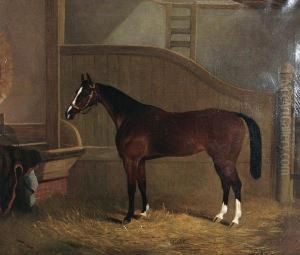 'violet' - A Chestnut Horse Standing In Astable