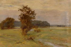 Widok Laki W Palczewie by Czeslaw Tanski