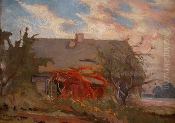 Chata (domek Babci Tanskiej), 1920 R. - view 1