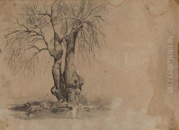 "casa De Campo"(anverso) Y "arbol"(reverso) - view 1