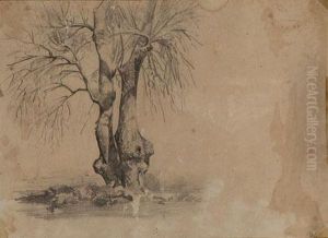 "casa De Campo"(anverso) Y "arbol"(reverso) by Jose Tapiro