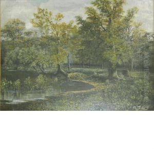 Forest Pool by J.A. Henderson Tarbet