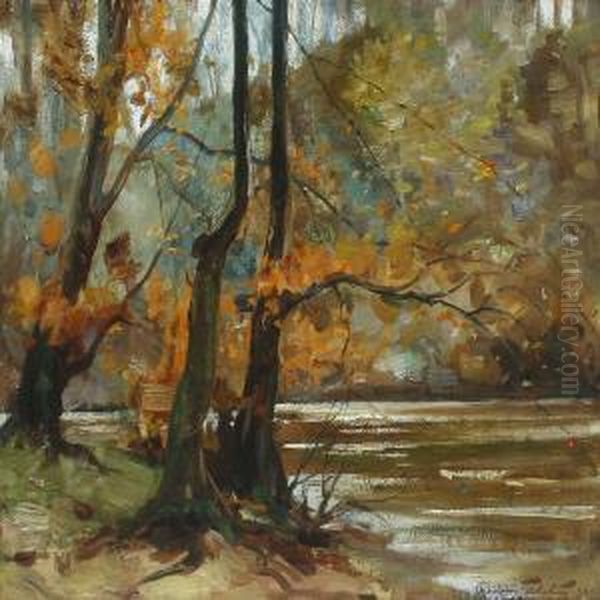 Forest Scenery - view 1
