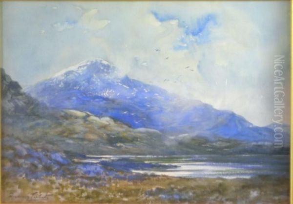 Schichallion - view 1