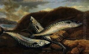 The Day's Catch On A Lakeside by Thomas G. Targett