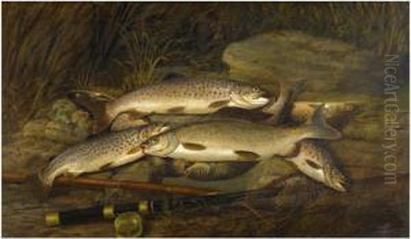 The Day's Catch - view 1