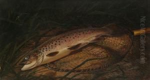 Trout In A Landing Net On A Riverbank by Thomas G. Targett