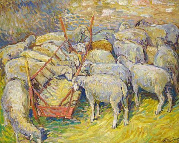 Les Moutons A L'etable Dans Le Perigord - view 1