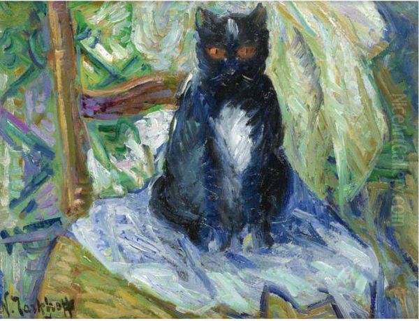 Black Cat - view 1