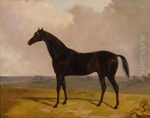 Chestnut Hunter Before A Landscape Chestnut Hunter Before A Landscape