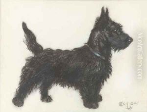 A Scottie by Cecil Charles Aldin