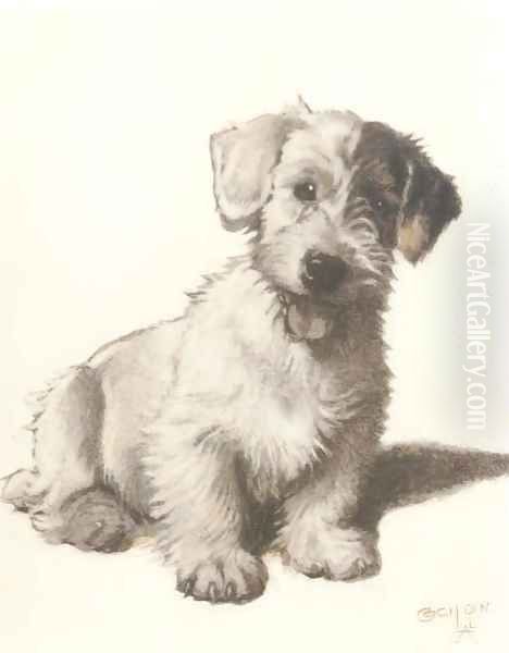 A sealyham terrier - view 1