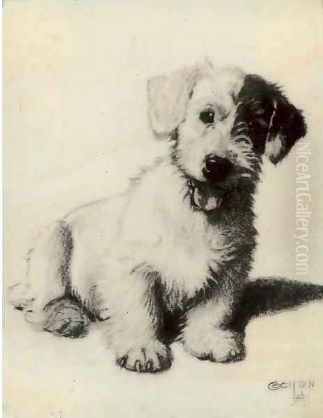 A sealyham terrier 2 - view 1