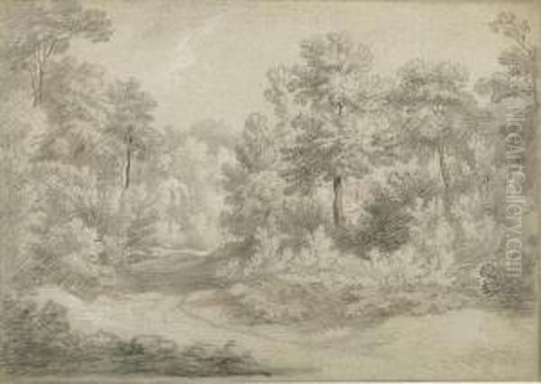 A Wooded Landscape - view 1