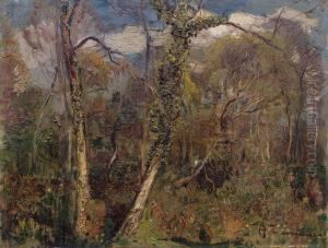 Bosco by Andrea Tavernier