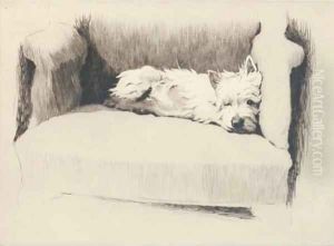 Boss-Eyed Peter by Cecil Charles Aldin