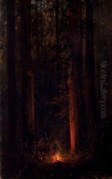 Campfire In The Redwoods - view 1