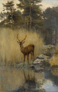Cerf Au Bord De La Riviere by Paul Tavernier