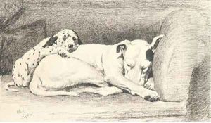 I'm not your father by Cecil Charles Aldin