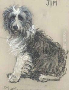 Jim, a bearded collie by Cecil Charles Aldin
