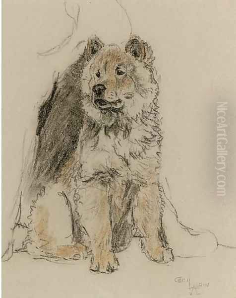 Study of a chow chow - view 1