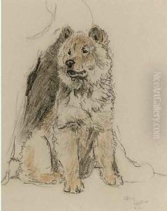 Study of a chow chow by Cecil Charles Aldin