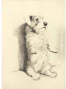 The beggar by Cecil Charles Aldin