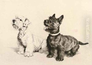 What about a walkie by Cecil Charles Aldin