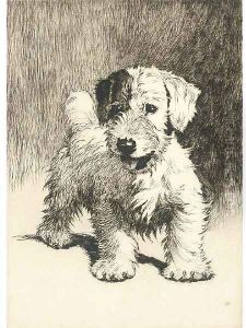A bundle of mischief by Cecil Charles Aldin