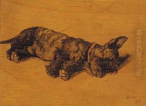 A Scottie asleep by Cecil Charles Aldin