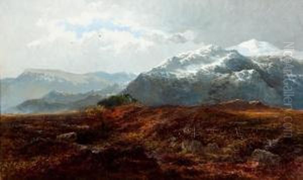 Perthshire Moorland Scene - view 1