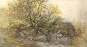 'meg's Gill, Grassmere' 'meg's Gill, Grassmere'